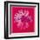 Daisy, c.1982 (Crimson and Pink)-Andy Warhol-Framed Art Print