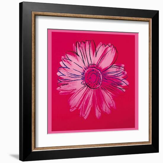 Daisy, c.1982 (Crimson and Pink)-Andy Warhol-Framed Art Print