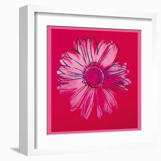 Daisy, c.1982 (Crimson and Pink)-Andy Warhol-Framed Art Print