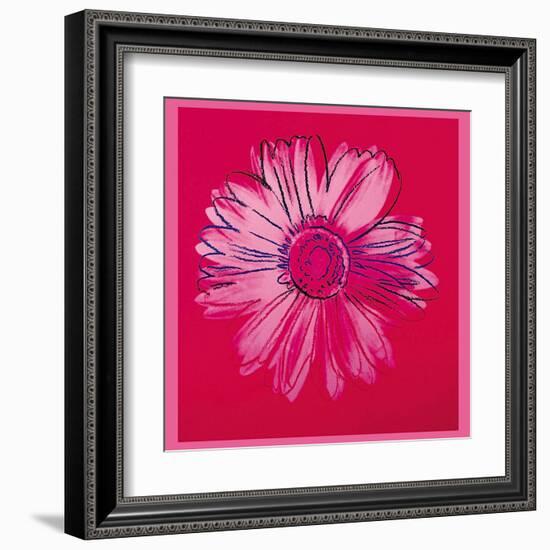 Daisy, c.1982 (Crimson and Pink)-Andy Warhol-Framed Art Print