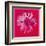 Daisy, c.1982 (Crimson and Pink)-Andy Warhol-Framed Art Print