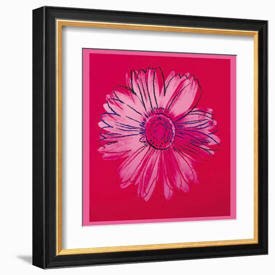 Daisy, c.1982 (Crimson and Pink)-Andy Warhol-Framed Art Print