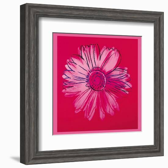 Daisy, c.1982 (Crimson and Pink)-Andy Warhol-Framed Giclee Print