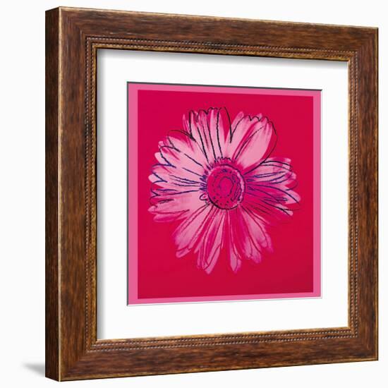 Daisy, c.1982 (Crimson and Pink)-Andy Warhol-Framed Giclee Print