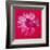 Daisy, c.1982 (Crimson and Pink)-Andy Warhol-Framed Giclee Print