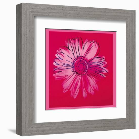 Daisy, c.1982 (Crimson and Pink)-Andy Warhol-Framed Giclee Print