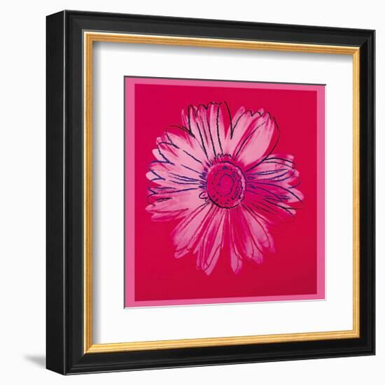 Daisy, c.1982 (Crimson and Pink)-Andy Warhol-Framed Giclee Print