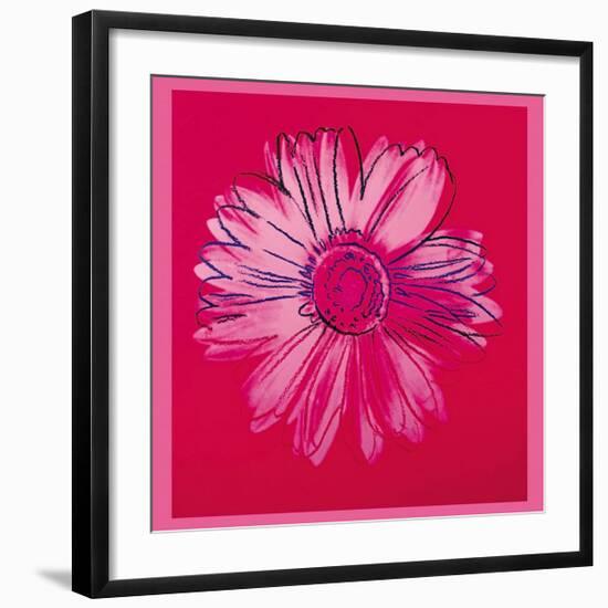 Daisy, c.1982 (Crimson and Pink)-Andy Warhol-Framed Giclee Print