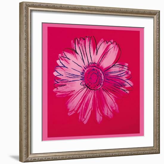 Daisy, c.1982 (Crimson and Pink)-Andy Warhol-Framed Giclee Print