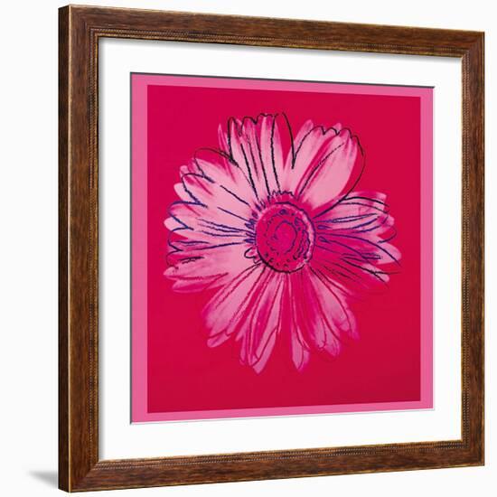 Daisy, c.1982 (Crimson and Pink)-Andy Warhol-Framed Giclee Print