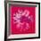 Daisy, c.1982 (Crimson and Pink)-Andy Warhol-Framed Giclee Print