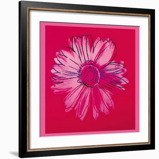 Daisy, c.1982 (Crimson and Pink)-Andy Warhol-Framed Giclee Print