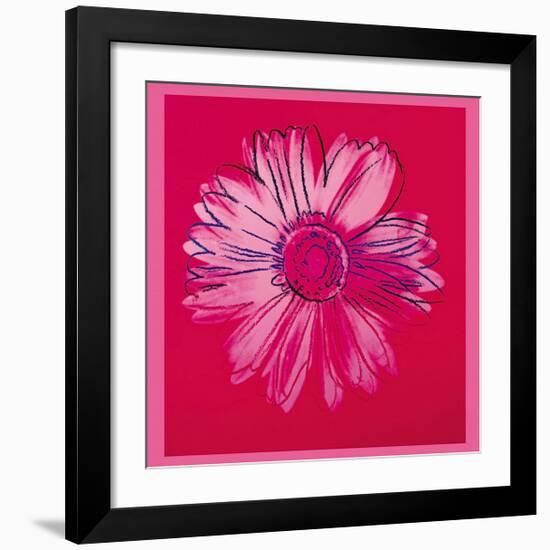 Daisy, c.1982 (Crimson and Pink)-Andy Warhol-Framed Giclee Print