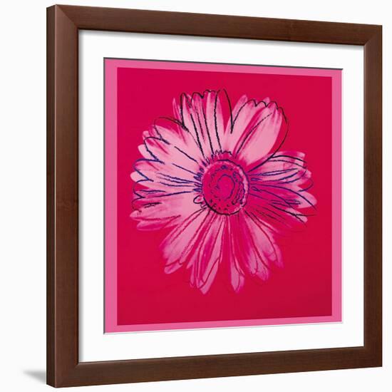 Daisy, c.1982 (Crimson and Pink)-Andy Warhol-Framed Giclee Print