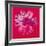 Daisy, c.1982 (Crimson and Pink)-Andy Warhol-Framed Giclee Print