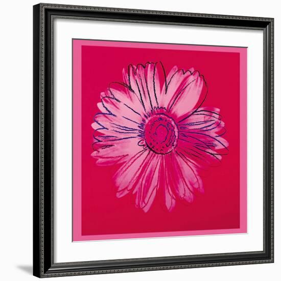 Daisy, c.1982 (Crimson and Pink)-Andy Warhol-Framed Giclee Print