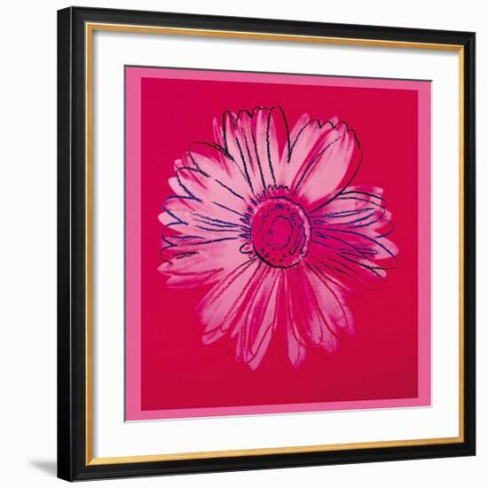 Daisy, c.1982 (Crimson and Pink)-Andy Warhol-Framed Giclee Print