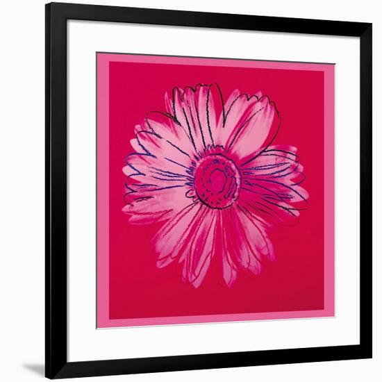 Daisy, c.1982 (Crimson and Pink)-Andy Warhol-Framed Giclee Print