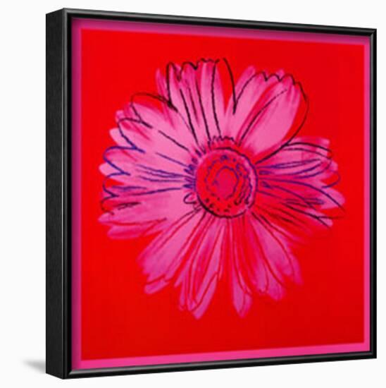 Daisy, c.1982 (Crimson and Pink)-Andy Warhol-Framed Art Print