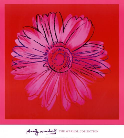 Daisy, c.1982 (Crimson and Pink)-Andy Warhol-Framed Print Mount
