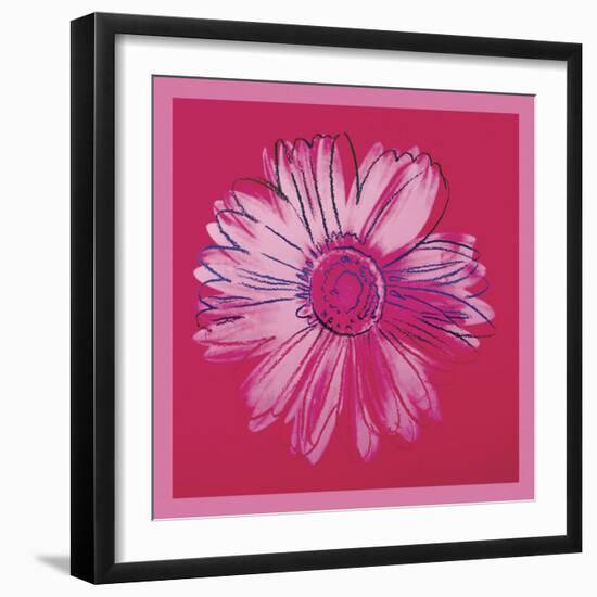 Daisy, c. 1982 (crimson and pink)-Andy Warhol-Framed Art Print