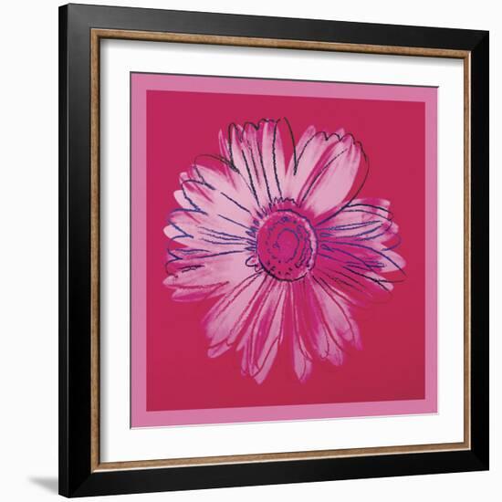 Daisy, c. 1982 (crimson and pink)-Andy Warhol-Framed Art Print