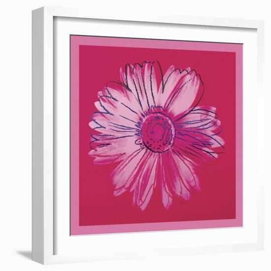 Daisy, c. 1982 (crimson and pink)-Andy Warhol-Framed Art Print