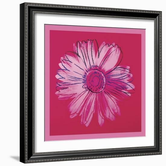 Daisy, c. 1982 (crimson and pink)-Andy Warhol-Framed Art Print