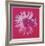 Daisy, c. 1982 (crimson and pink)-Andy Warhol-Framed Art Print