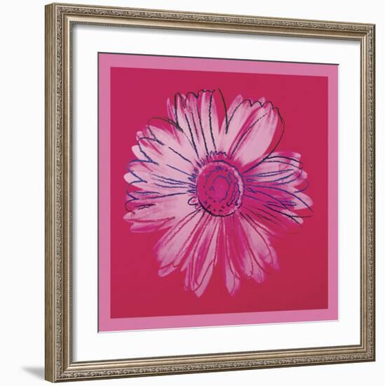 Daisy, c. 1982 (crimson and pink)-Andy Warhol-Framed Art Print