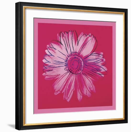 Daisy, c. 1982 (crimson and pink)-Andy Warhol-Framed Art Print