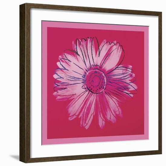 Daisy, c. 1982 (crimson and pink)-Andy Warhol-Framed Art Print