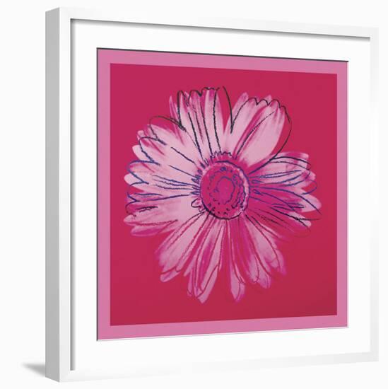 Daisy, c. 1982 (crimson and pink)-Andy Warhol-Framed Art Print