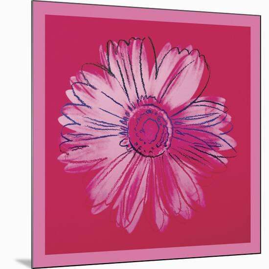 Daisy, c. 1982 (crimson and pink)-Andy Warhol-Mounted Art Print