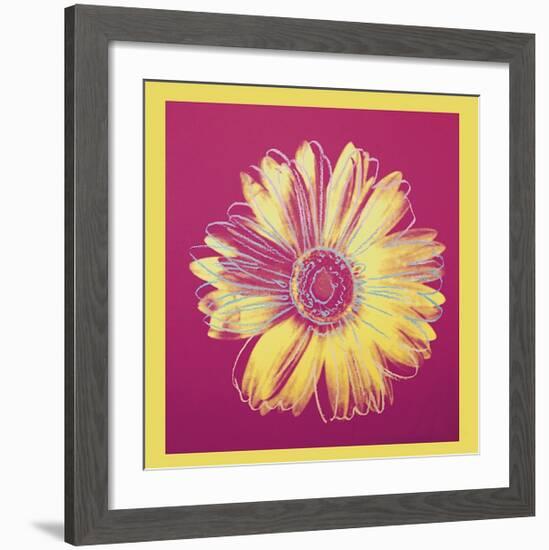 Daisy, c.1982 (Fuchsia and Yellow)-Andy Warhol-Framed Giclee Print