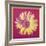 Daisy, c.1982 (Fuchsia and Yellow)-Andy Warhol-Framed Giclee Print