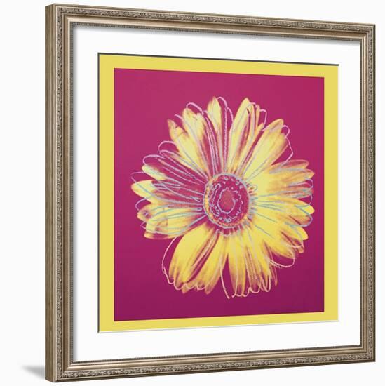 Daisy, c.1982 (Fuchsia and Yellow)-Andy Warhol-Framed Giclee Print