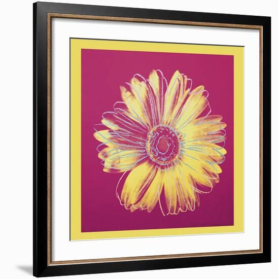 Daisy, c.1982 (Fuchsia and Yellow)-Andy Warhol-Framed Giclee Print