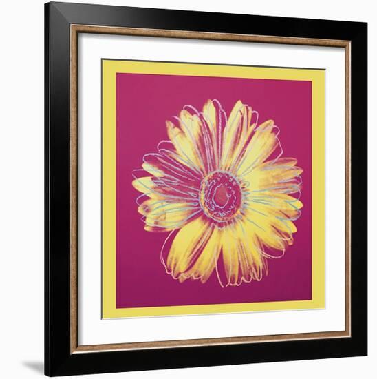 Daisy, c.1982 (Fuchsia and Yellow)-Andy Warhol-Framed Giclee Print