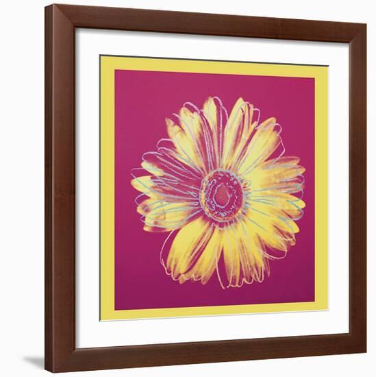 Daisy, c.1982 (Fuchsia and Yellow)-Andy Warhol-Framed Giclee Print