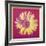 Daisy, c.1982 (Fuchsia and Yellow)-Andy Warhol-Framed Giclee Print