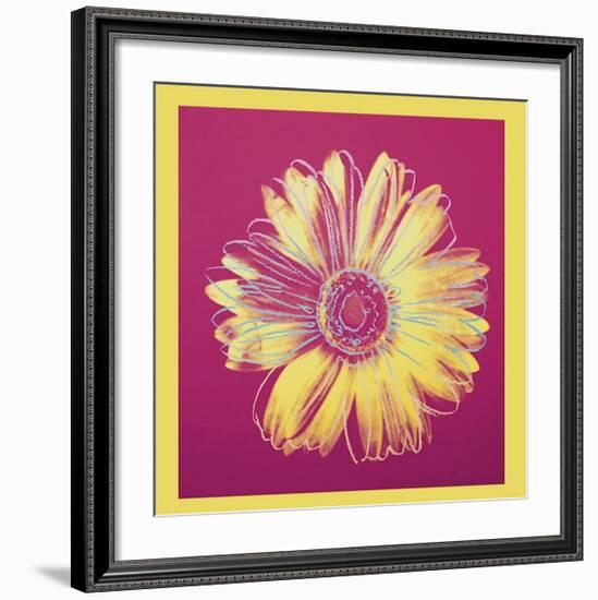 Daisy, c.1982 (Fuchsia and Yellow)-Andy Warhol-Framed Giclee Print