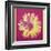 Daisy, c.1982 (Fuchsia and Yellow)-Andy Warhol-Framed Giclee Print