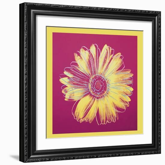 Daisy, c.1982 (Fuchsia and Yellow)-Andy Warhol-Framed Giclee Print