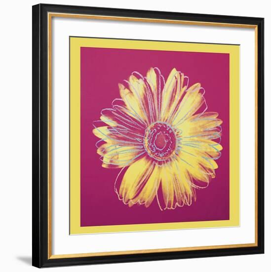 Daisy, c.1982 (Fuchsia and Yellow)-Andy Warhol-Framed Giclee Print