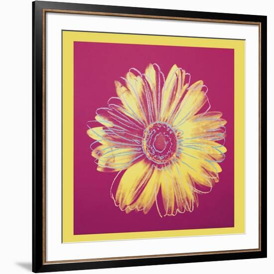 Daisy, c.1982 (Fuchsia and Yellow)-Andy Warhol-Framed Giclee Print