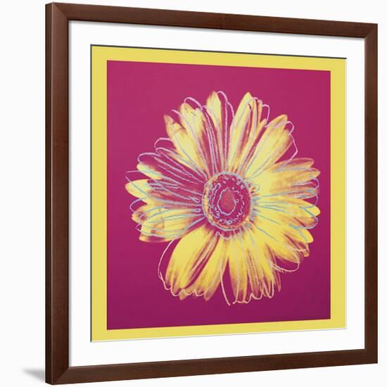 Daisy, c.1982 (Fuchsia and Yellow)-Andy Warhol-Framed Giclee Print