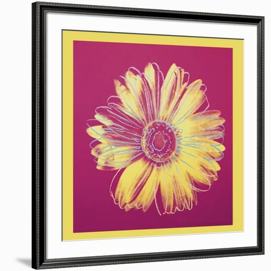 Daisy, c.1982 (Fuchsia and Yellow)-Andy Warhol-Framed Giclee Print