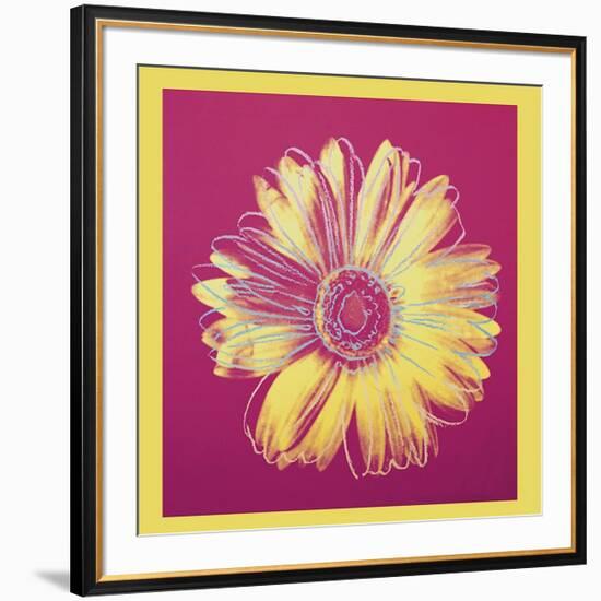 Daisy, c.1982 (Fuchsia and Yellow)-Andy Warhol-Framed Giclee Print