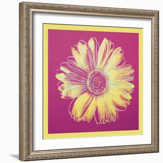 Daisy, c.1982 (fuchsia & yellow)-Andy Warhol-Framed Art Print